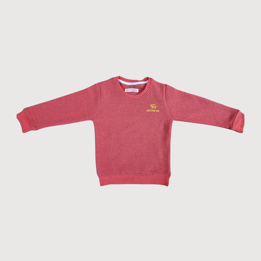 Boys Stylish Winter Sweatshirt – Cotton on Red Premium Embroidery