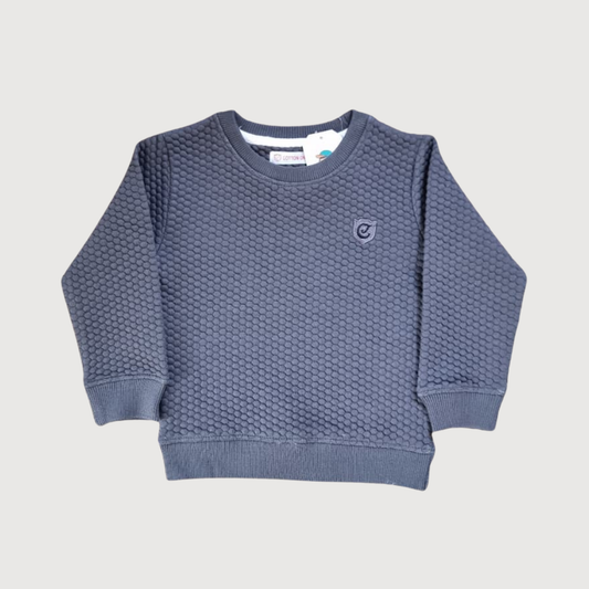 Grey Textured Crew Sweatshirt – Premium Winter Wear, Stylish & Trendy